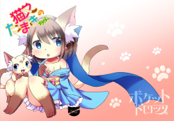 Nekomata no Tamaki-chan