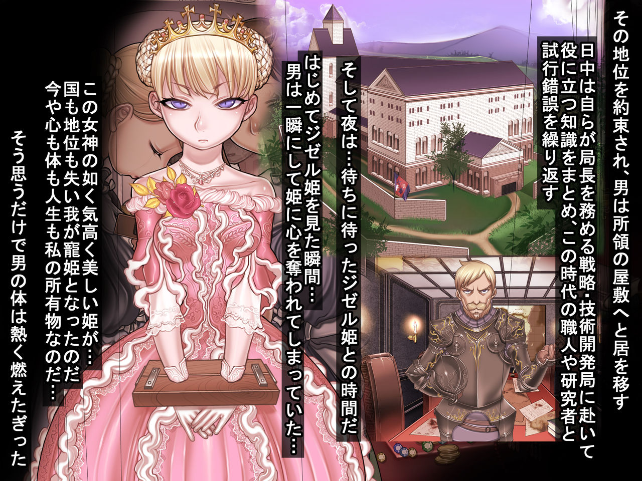 Houshuu no Himegimi Princess Super Slut  『ho/after story』 page 11 full