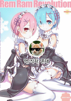 Rem Ram Revolution